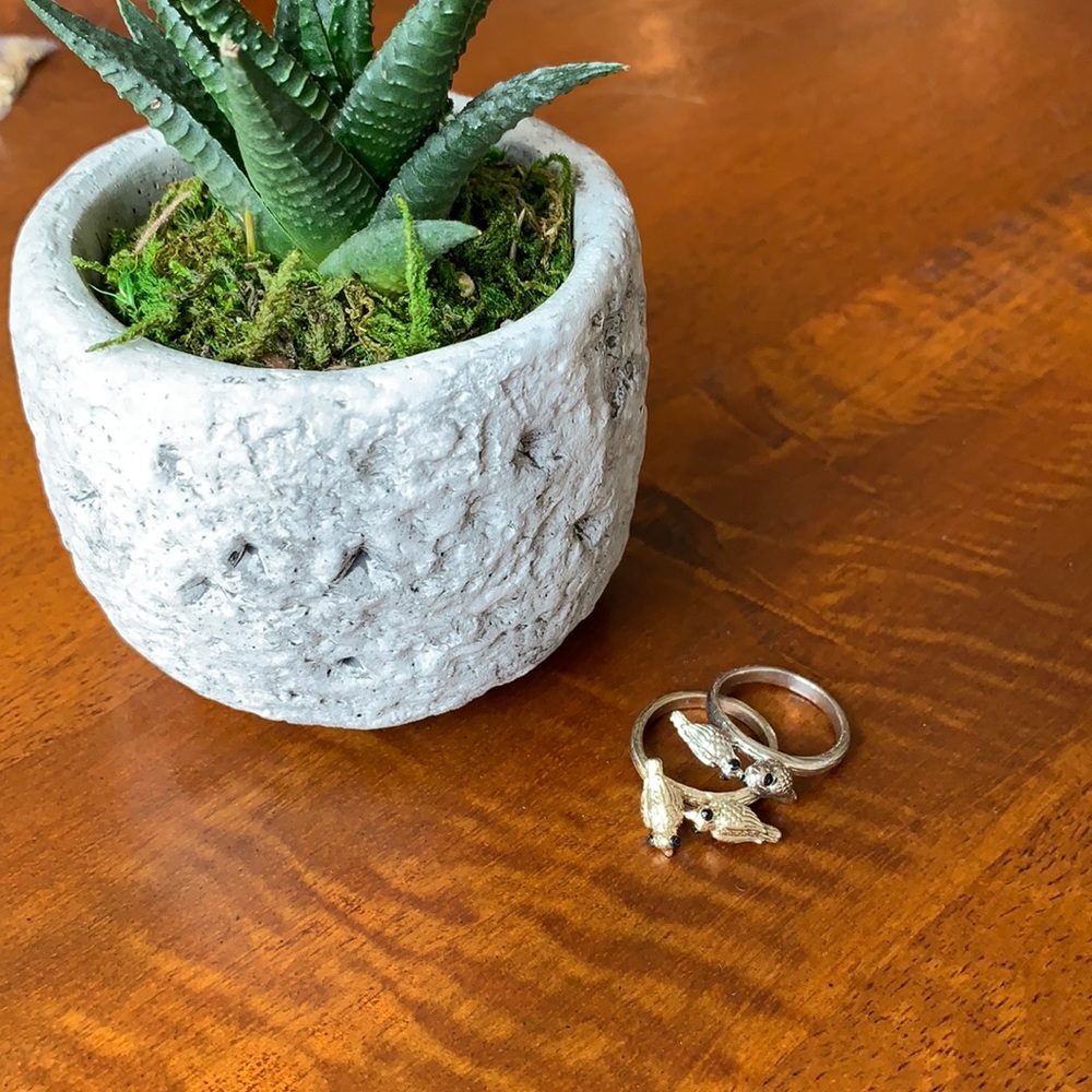 Bundle of 2 rings with birds ✨